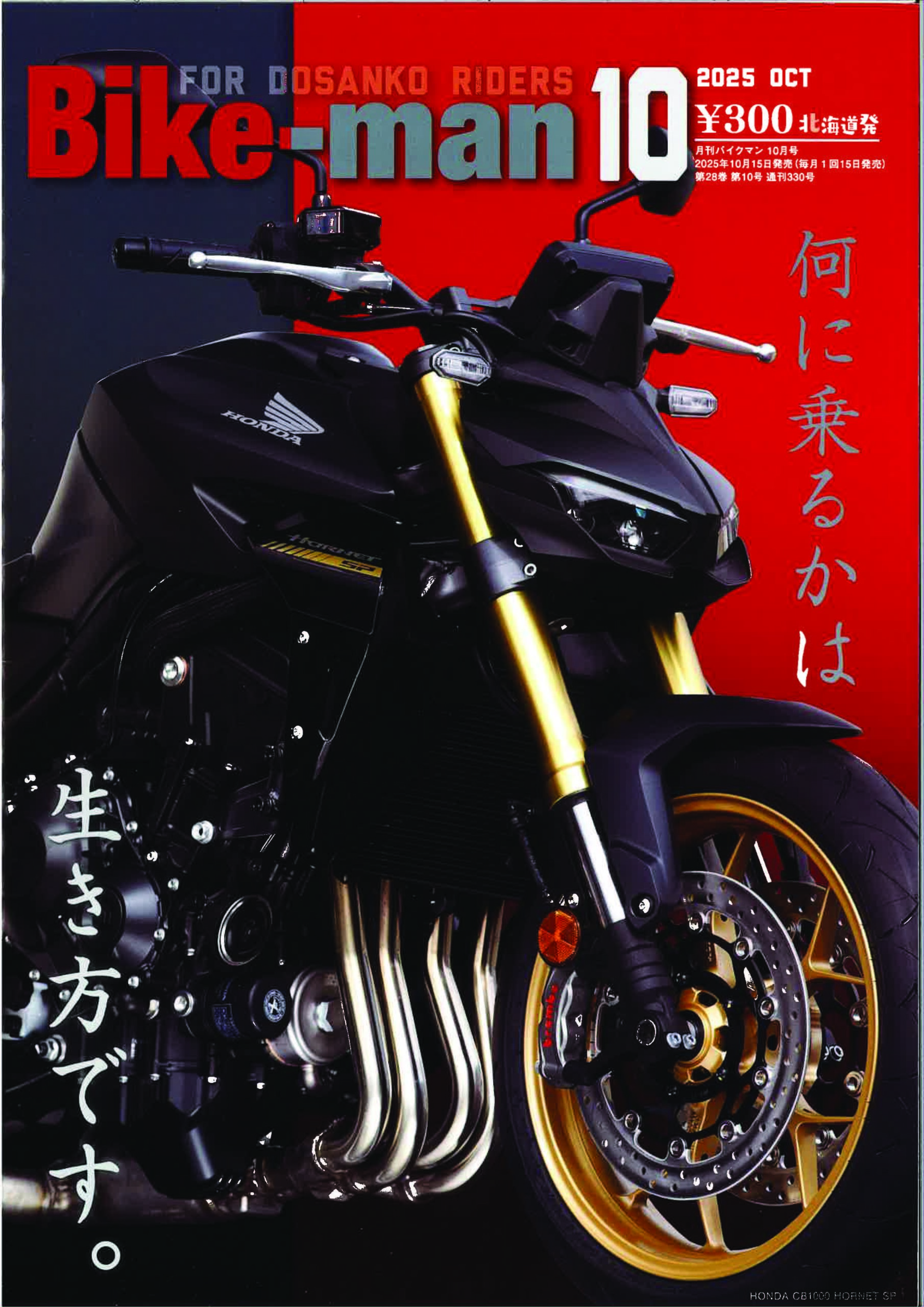 掲載誌情報